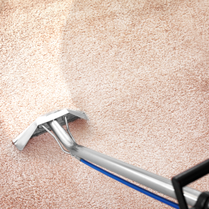 Carpet Cleaning